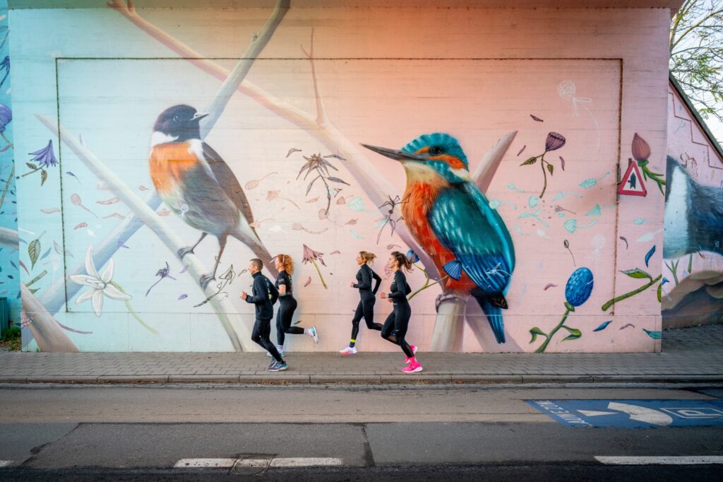 vogels The extra mile marathon Leuven